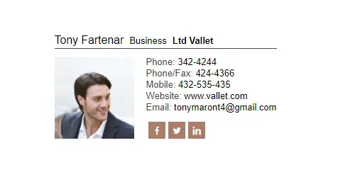 NEWOLDSTAMP email signature examples business