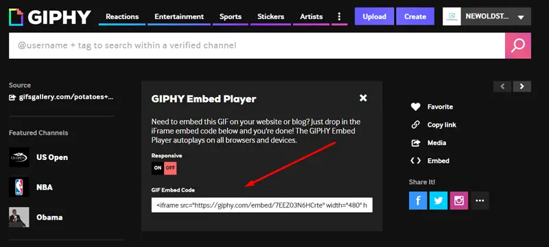 hosted images in giphy