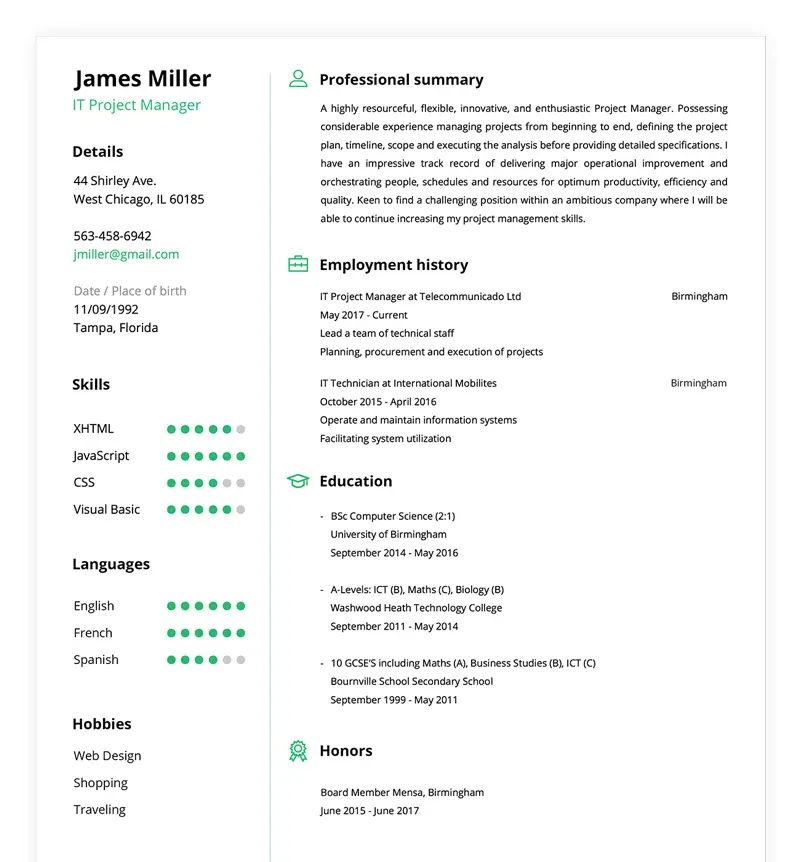 resume example