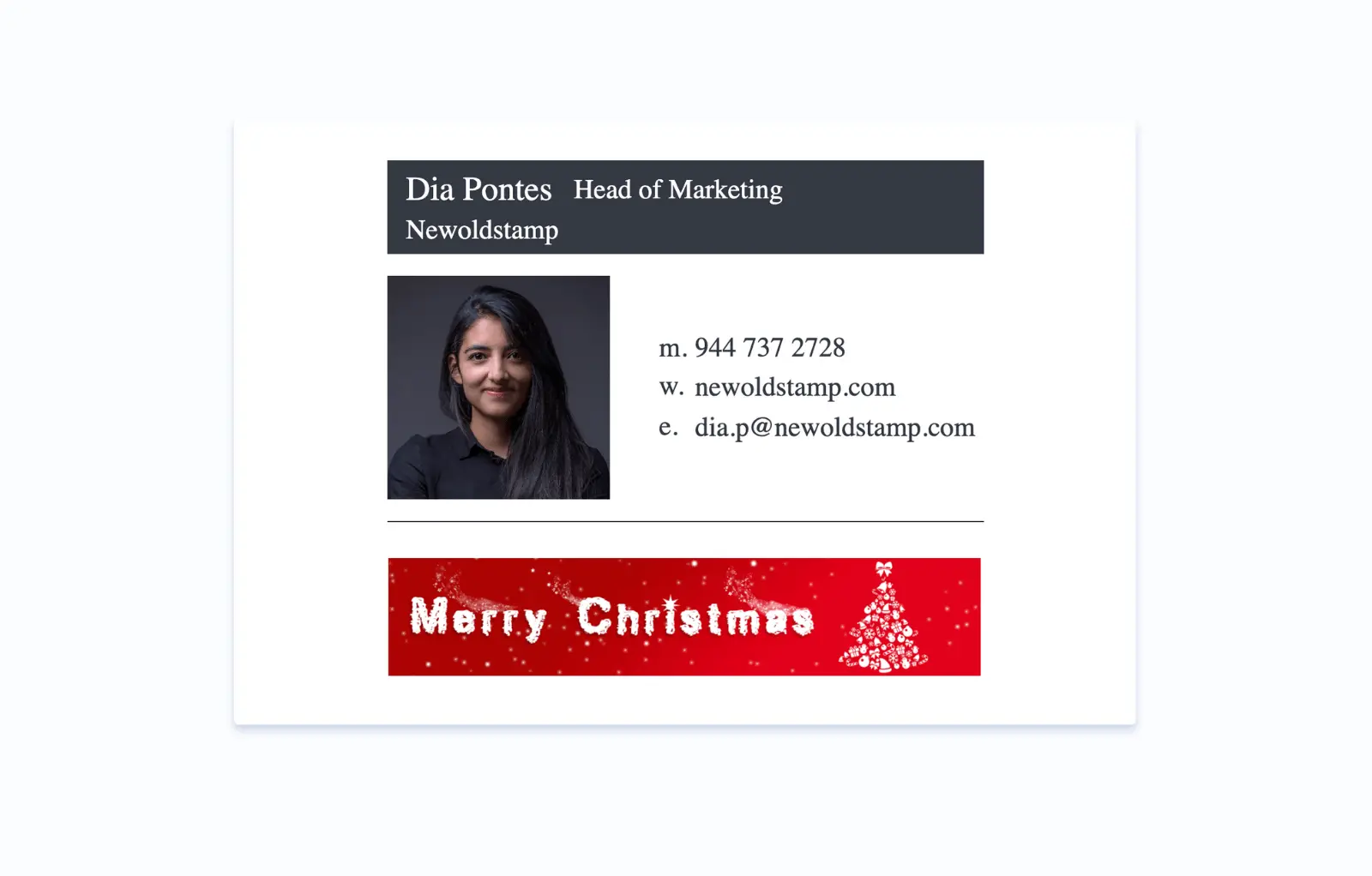 Corporate signature Christmas banner