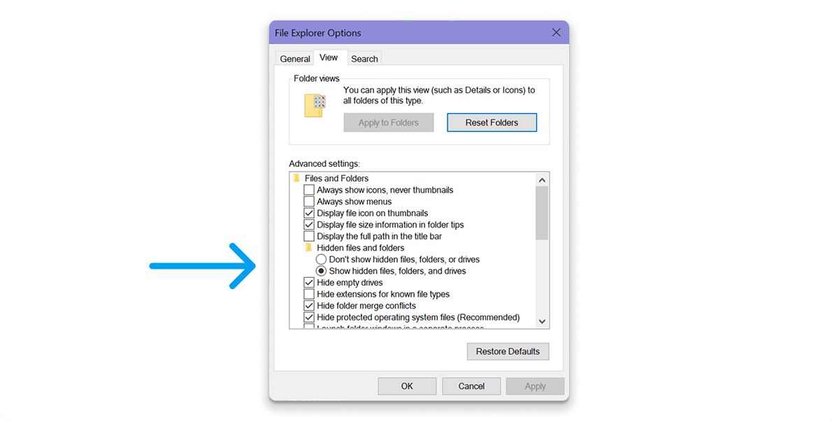 Showing Hidden Folders in Windows